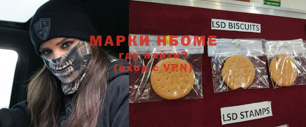 хмурый Алзамай