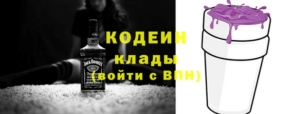 хмурый Алзамай