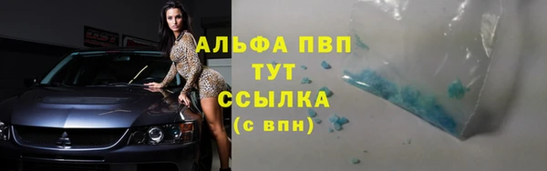 хмурый Алзамай