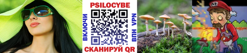 закладка Артём Псилоцибиновые грибы ЛСД